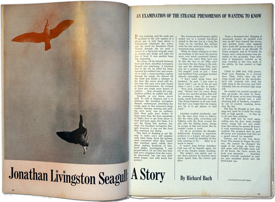 The original Jonathan Livingston Seagull