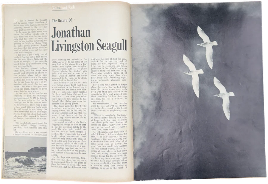 The Return of Jonathan Livingston Seagul