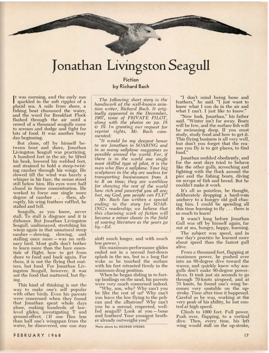 Jonathan Livingston Seagull in Soaring